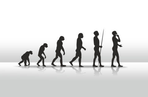 Humans crawling to standing over millions of years